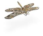 Dragonfly1