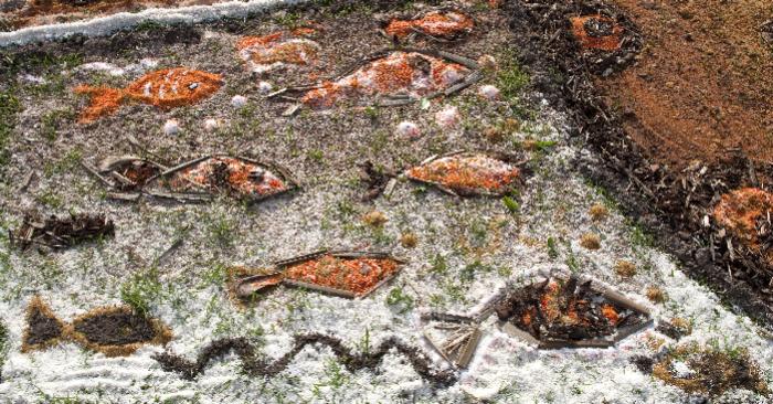 Drawingdetail2Drawingdetail2CopyrightRodVarley