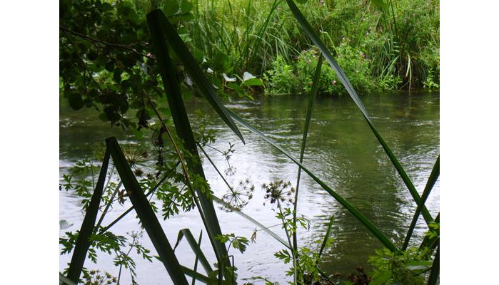 SandiODonnellmile6CrissCrossattheItchenBambridge1