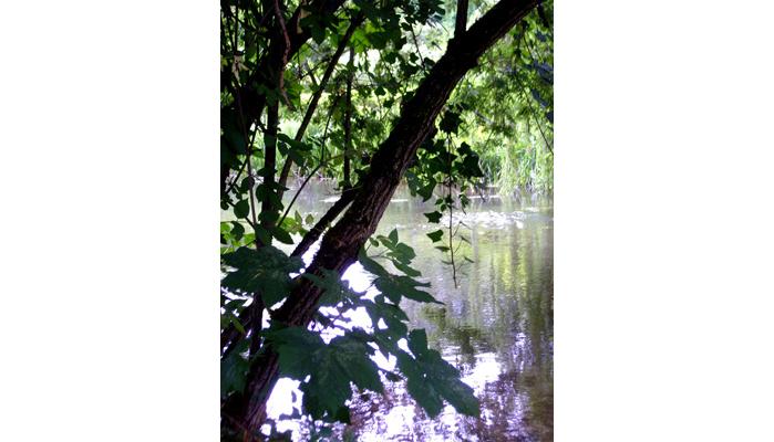 SandiODonnellmile8LeavesWatertheItchenShawford