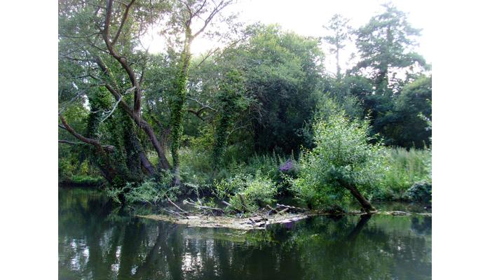 SandiODonnellmile1MoorhensIslandtheItchenatMansbridge