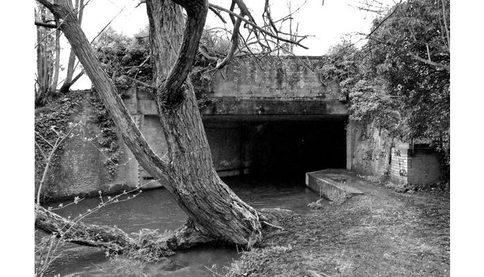 TrainbridgeonthewaytoMile5